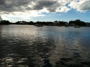 Homosassa (3)