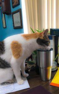 Ymmmm...better than milk!