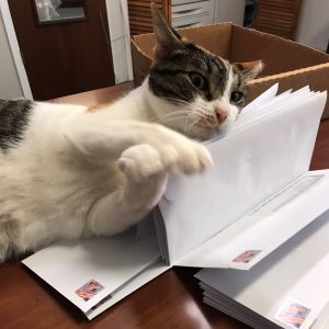 Patches (13)