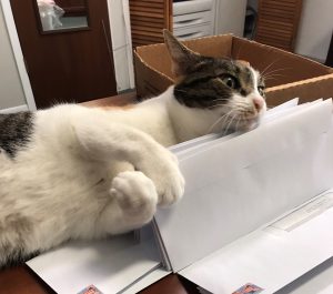 Patches (14)