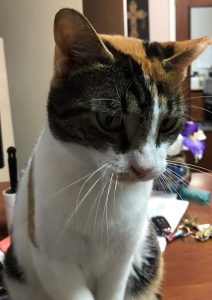 Patches (18)